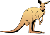 kangaroo icon